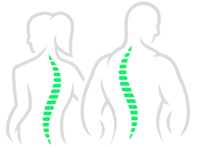 Spine Figures